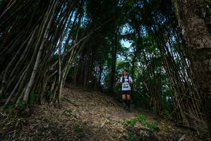 BIB: 
                            <button type="button" onclick="openModal(19395487)" class="btn btn-primary btn-sm float-right btn-popup" data-toggle="modal" data-target=".modal-high-quality">
                        <i class="fas fa-shopping-cart"></i> Add to Cart
                    </button>
                                            <button type="button" onclick="isThisMe(19395487, true)" class="btn btn-success btn-sm float-right btn-popup btn-isme hidden" data-toggle="tooltip" data-placement="bottom" title="นี่คือรูปของคุณใช่ไหม คลิกที่นี่เพื่อเอาเข้าอัลบั้ม">
                        <i class="fas fa-plus"></i> Add to album
                    </button>
                    <button type="button" onclick="isThisMe(19395487, false)" class="btn btn-warning btn-sm float-right btn-popup btn-isnotme hidden">
                        <i class="fas fa-ban"></i> Remove from album
                    </button>